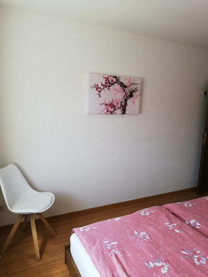 Ferienwohnungen Zum Niederberg Lieser Kültér fotó